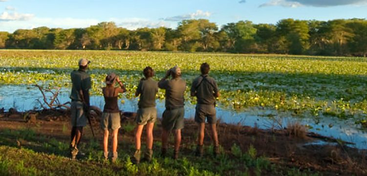 Safari Guide Course – 28 days